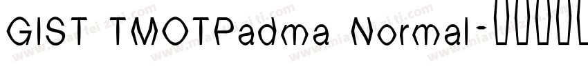 GIST TMOTPadma Normal字体转换